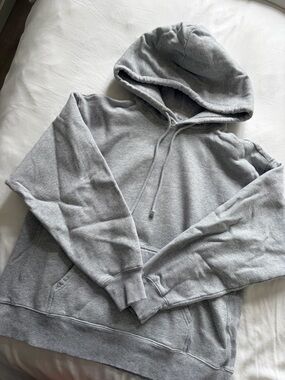 Aritzia TNA boyfriend hoodie